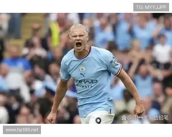 哈兰德效率与体系贡献是否被高估